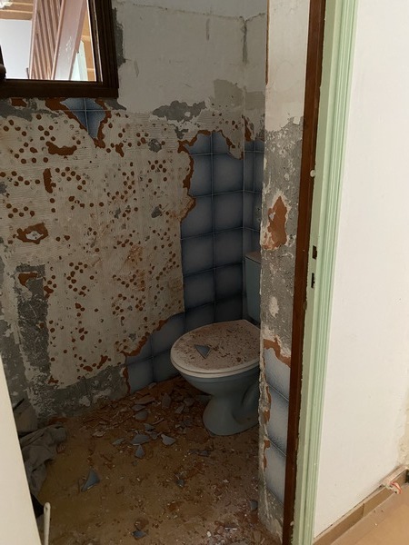 Demolition wc